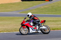 Lower Group Red Bikes